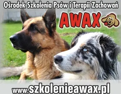 Awax. Ośrodek szkolenia psów i terapii zachowań